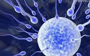 做试管婴儿女性必须检查的项目