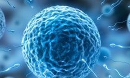 准备试管 宝爸宝妈要知道：冻胚移植成功率更高是谣言吗？