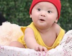 泰国DHC医院雪藏卵成功率及重要注意事项解析