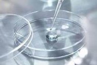 染色体易位在南部战区总医院可以做三代试管吗？染色体平衡易位还能生健康的宝宝吗？