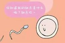 马来西亚试管婴儿成功率高的机构推荐与费用分析