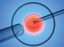 美国试管婴儿成功率究竟有多高？详细解析美国试管成功案例与影响成功率因素