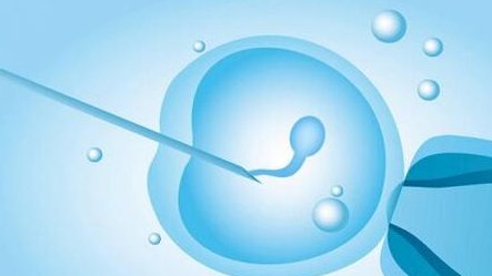 泰国试管婴儿技术真的好吗？成功率多少？