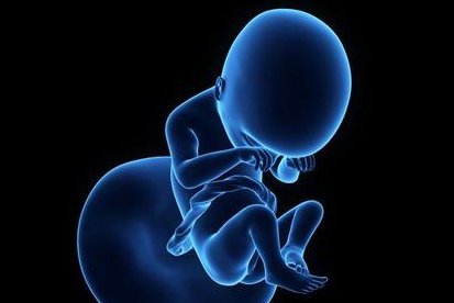 泰国第三代试管婴儿技术成功率究竟如何？