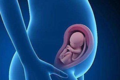 2026合肥瑶海区婚检预约平台上线！备好材料轻松搞定